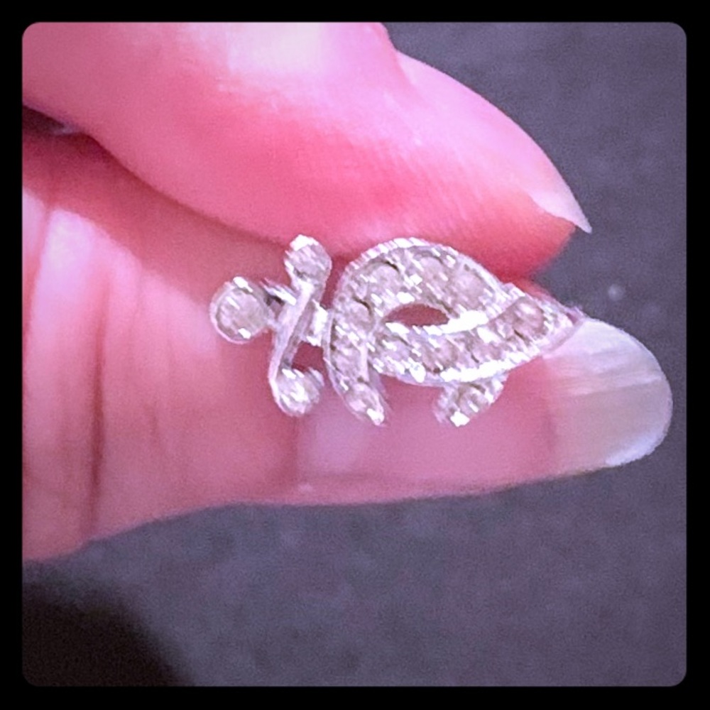 Shriner’s Lapel Pin - Mens 🎩
